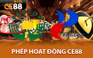 Giấy phép hoạt động ce88