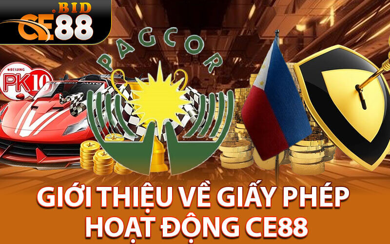 Giấy phép hoạt động ce88