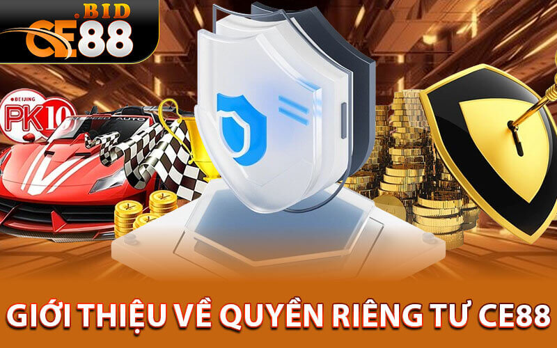 Quyền riêng tư ce88