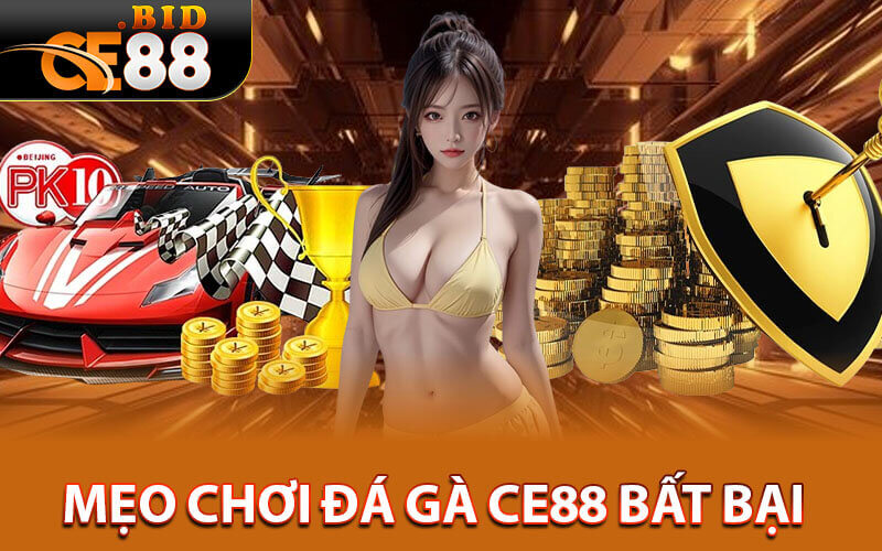 Đá gà CE88