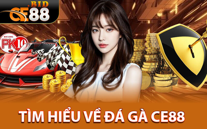 Đá gà CE88